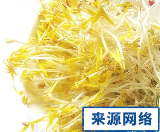 飲食減肥 減肥食物 吸脂食物選擇