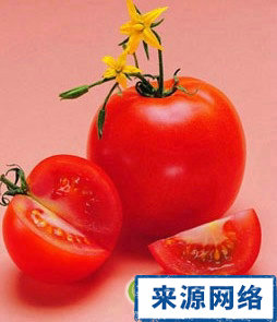 吃番茄可以減肥嗎 番茄減肥的原理 番茄怎麼吃減肥