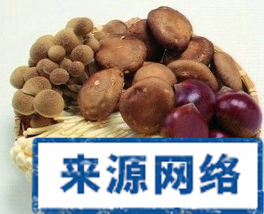 什麼減肥效果好 減肥效果好 菇類減肥效果好