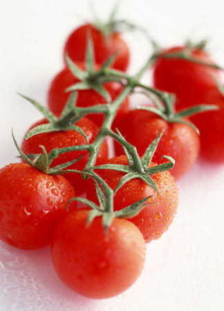 番茄這樣吃減肥效果最好 番茄能減肥嗎 西紅柿的營養價值 番茄能減肥嗎