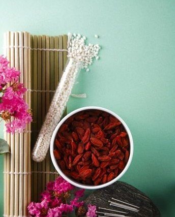 減肥 食物減肥 山楂能減肥嗎