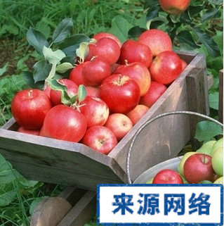 減肥有效的食物排行榜 哪些食物減肥最有效 食物減肥