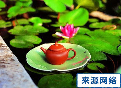 減肥瘦腰 減肥茶有哪些