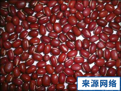 紅豆的營養價值 紅豆減肥法 紅豆減肥食譜
