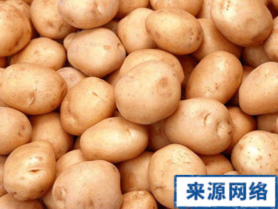 經常吃土豆好嗎 經常吃土豆 減肥 抗衰老 祛斑 減肥方法