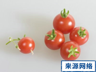 排毒瘦身 排毒的食物 什麼食物排毒 快速瘦身法