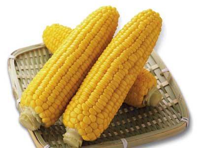 減肥