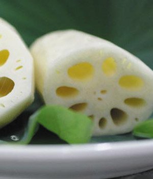 肥胖人應該看得減肥食品和減肥食譜