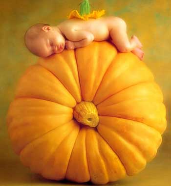 南瓜減肥食譜助你減肥瘦身