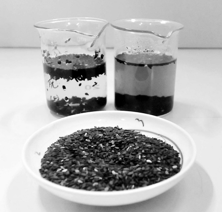 麻紅薯湯 滋補美味又瘦身