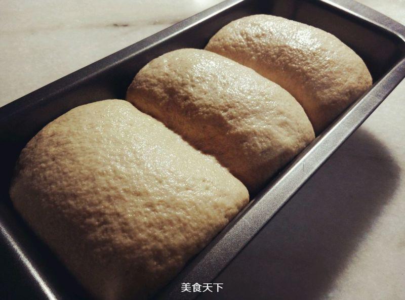 營養粗糧~全麥土司面包的做法步驟：8
