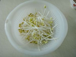 豆芽炒菠菜的做法步驟：1