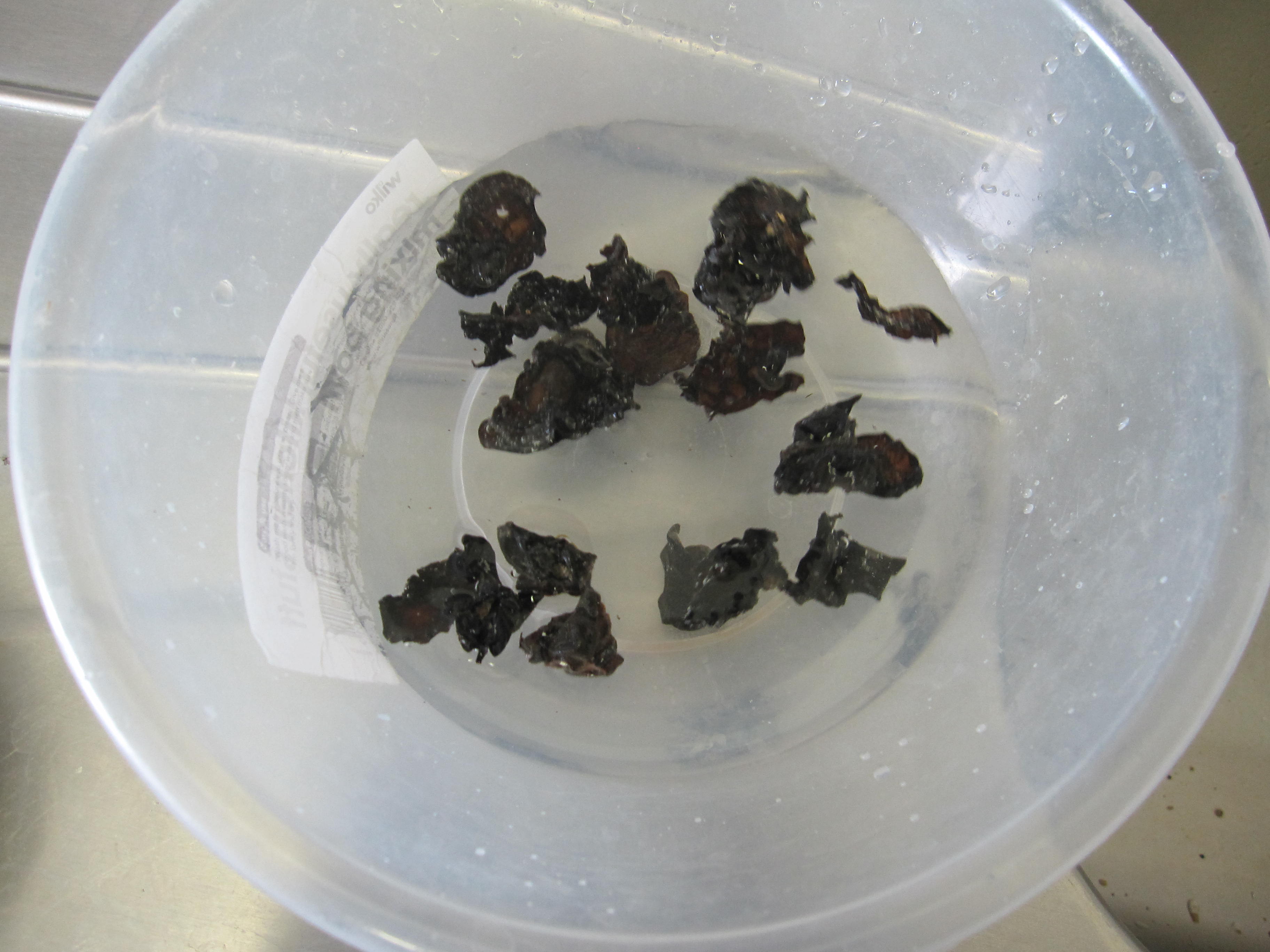 【脆拌黑木耳】夏日涼菜的做法步驟：2