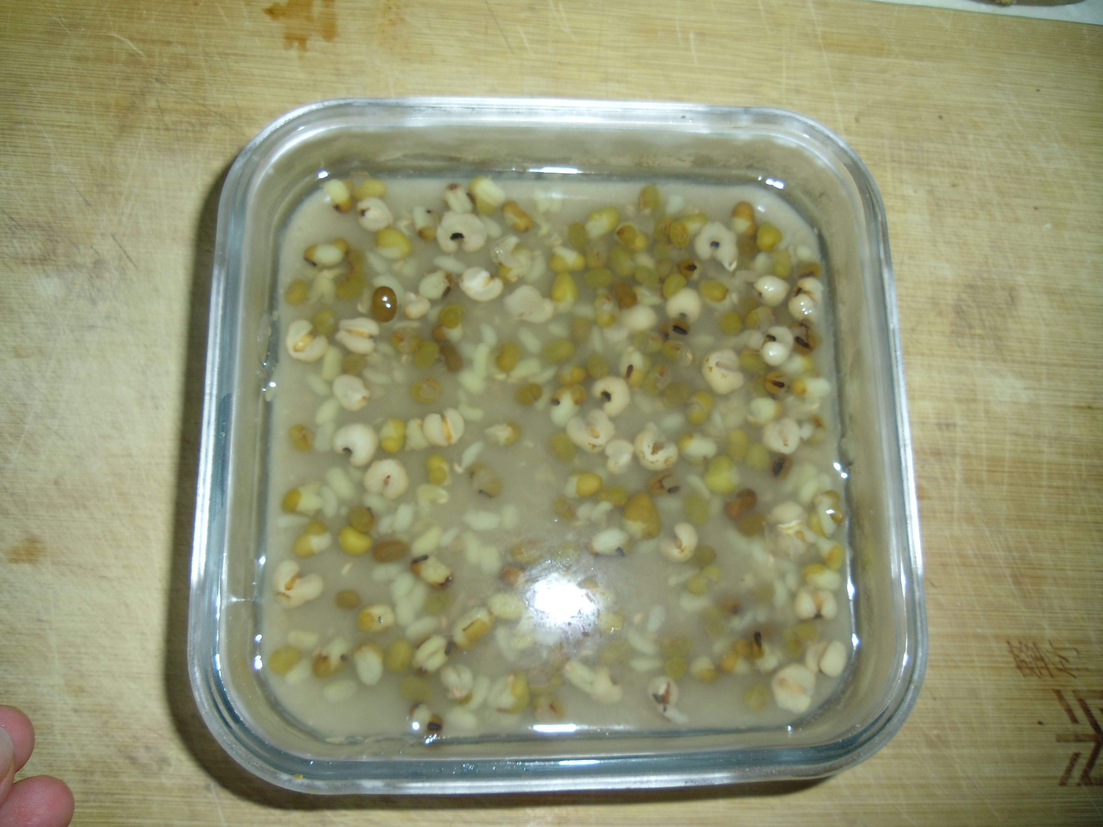 薏米綠豆冰糕的做法步驟：8