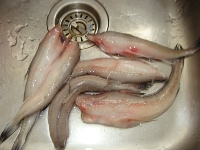 香炸豆腐魚的做法步驟：1