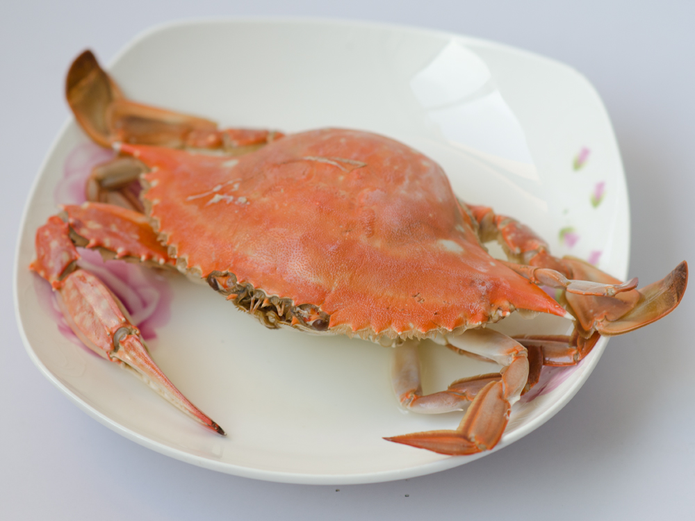 豆腐燒梭子蟹的做法步驟：4