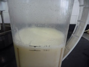 豆漿南瓜湯的做法步驟：9