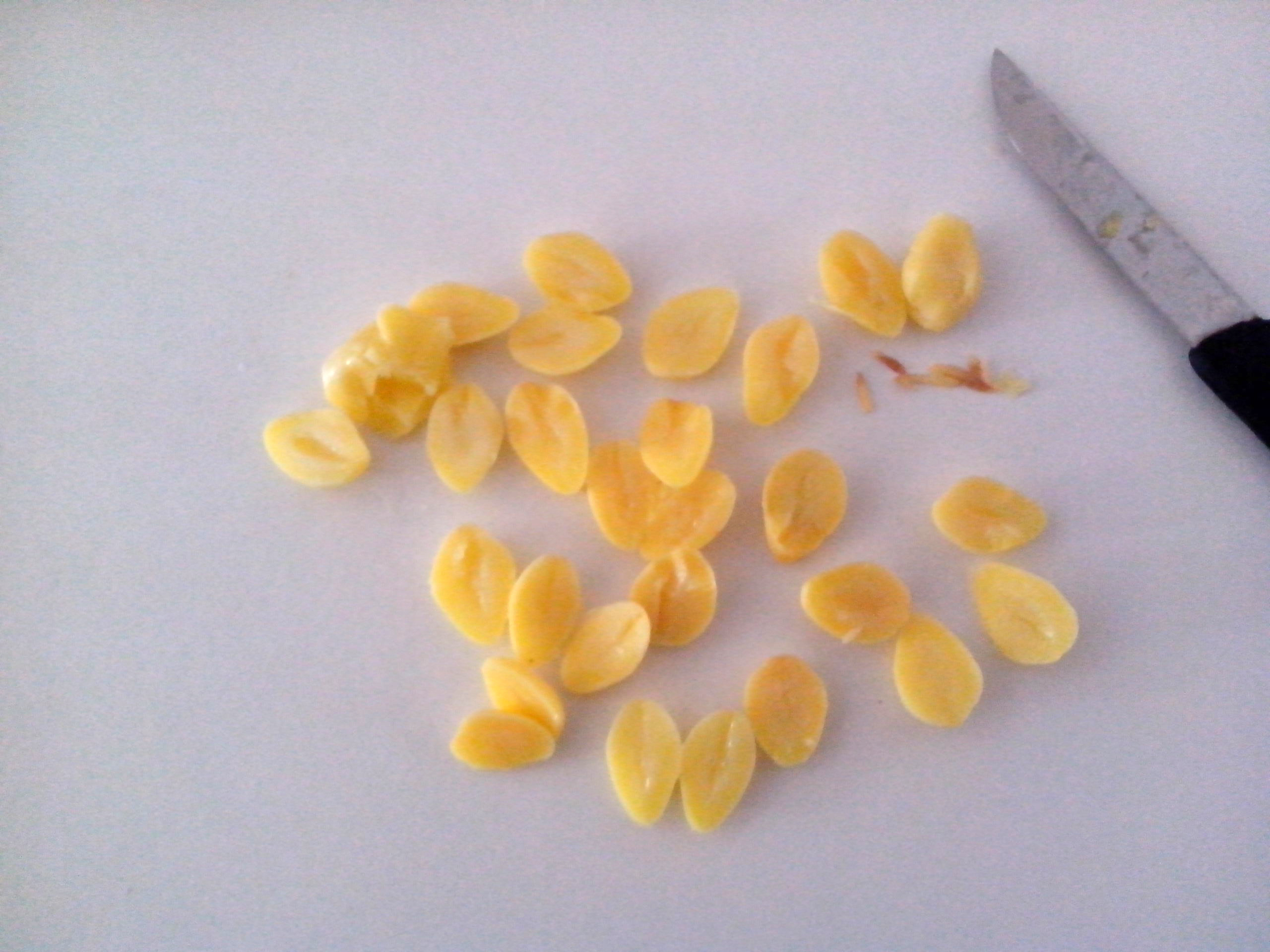 香甜陳皮白果湯的做法步驟：3