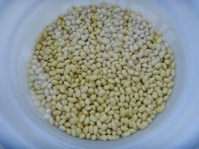 香炒豆渣的做法步驟：1