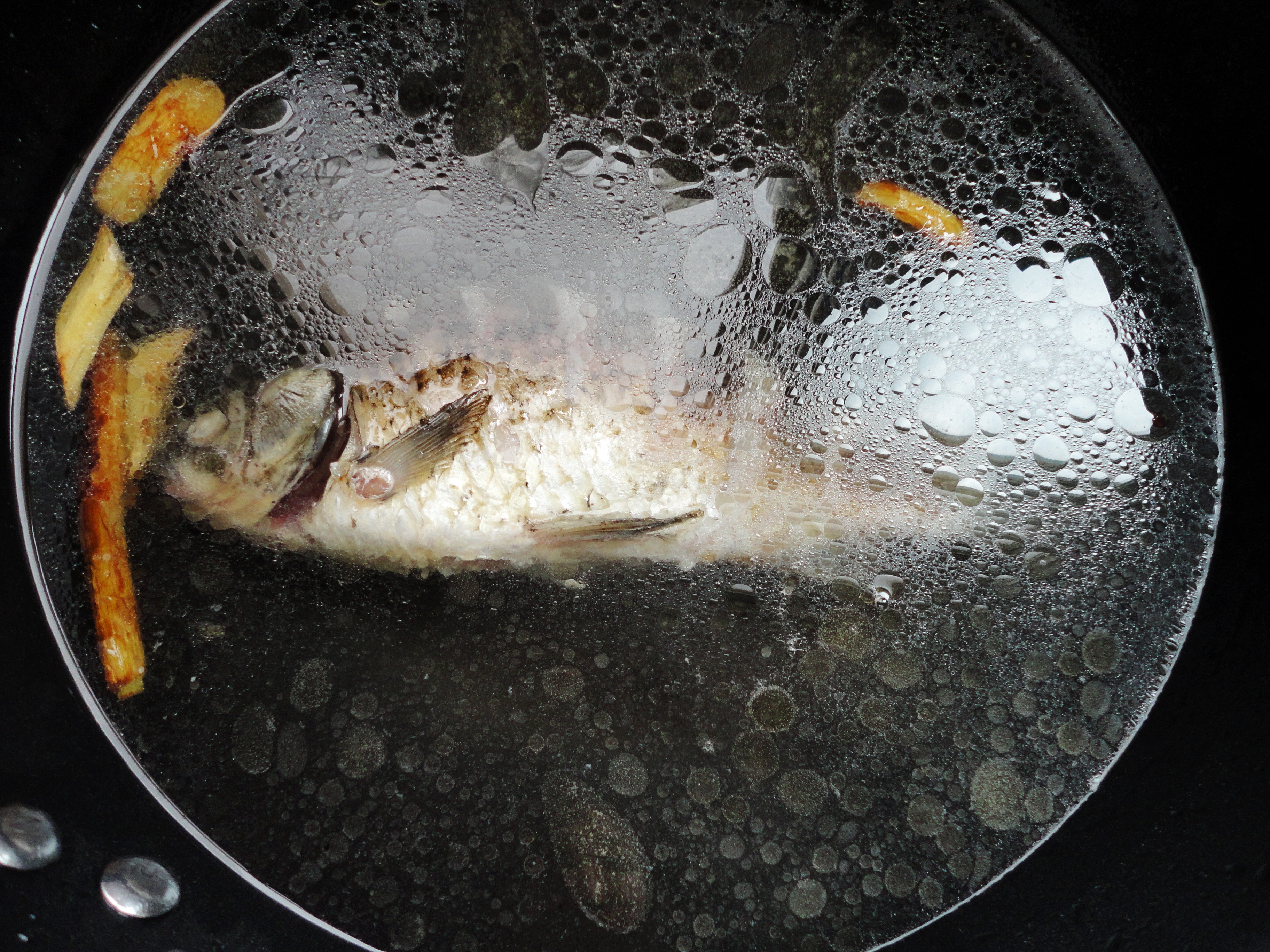 為家人洗手做營養湯羹之二------鲫魚豆腐湯的做法步驟：6