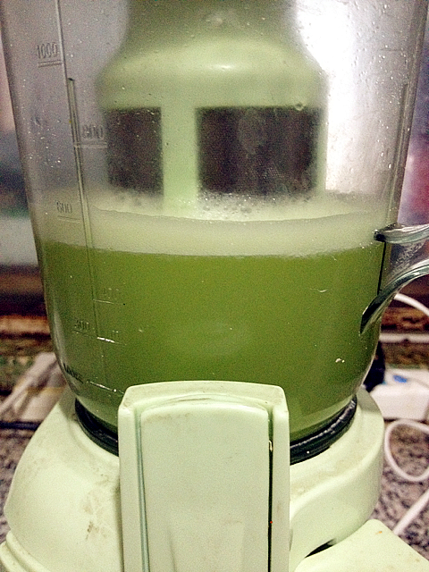 六月不減肥七月沒腰圍——蜂蜜芹菜水的做法步驟：2