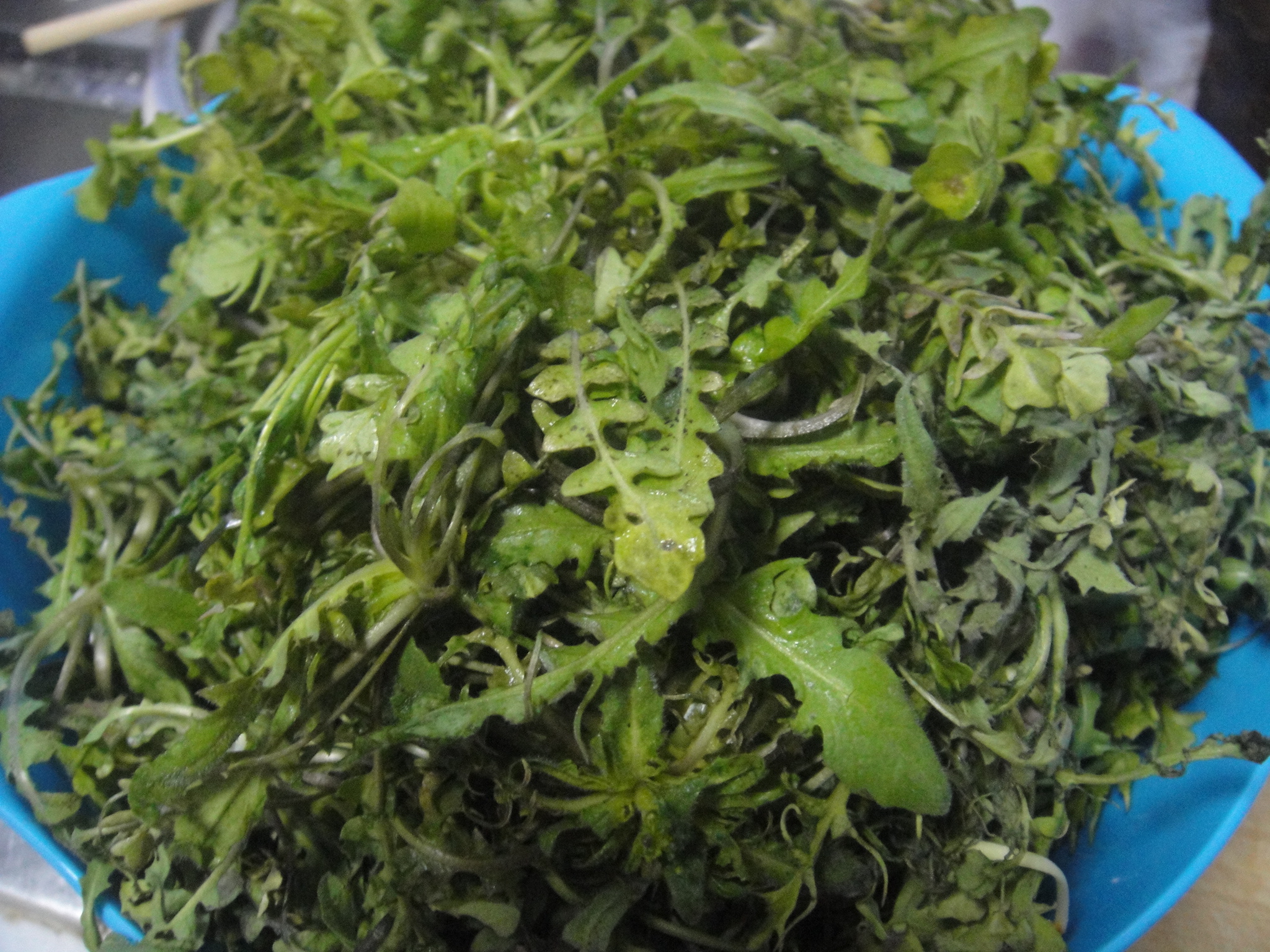 [春天的故事]－－蒜泥拌荠菜的做法步驟：1