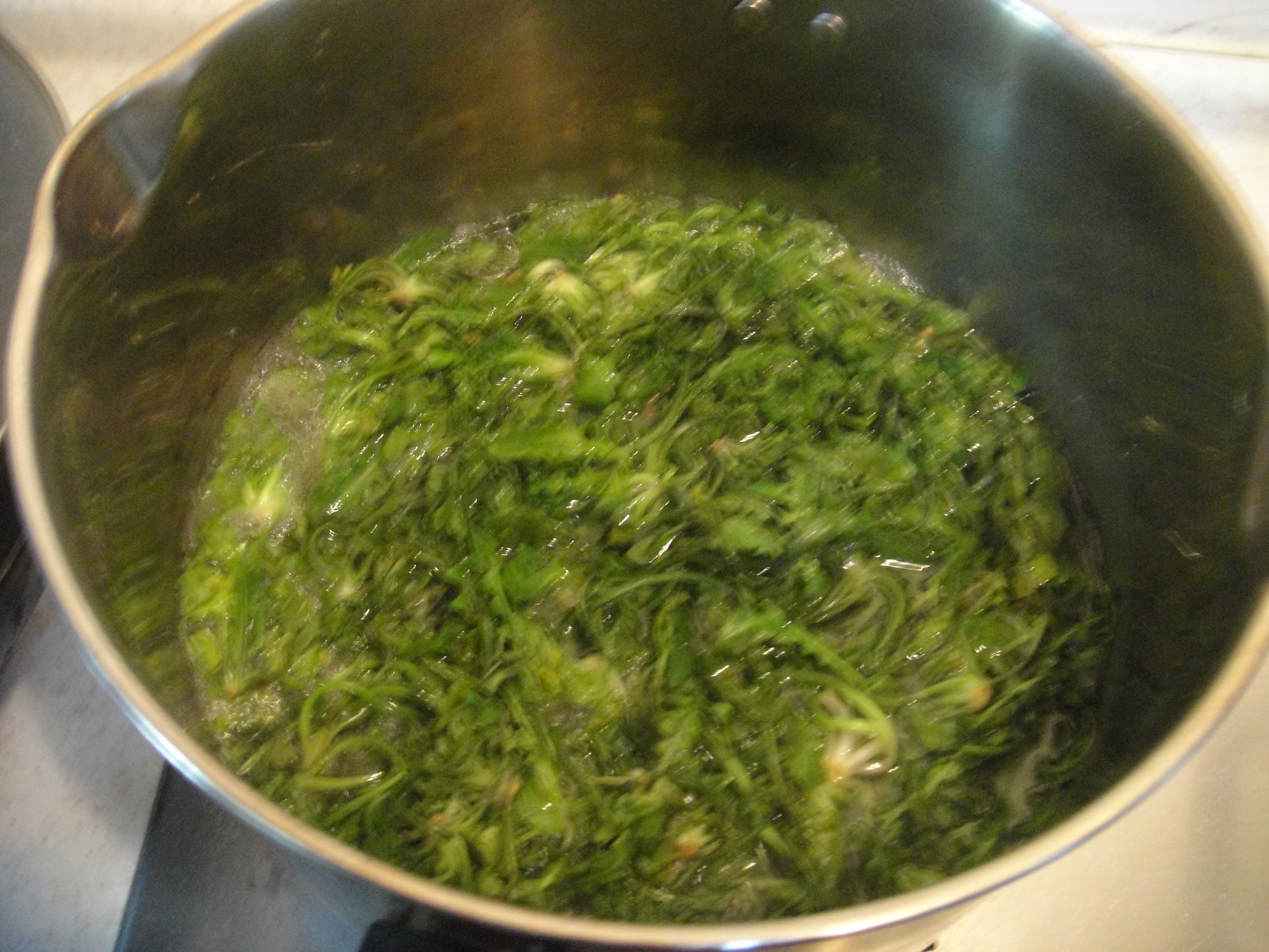[春天的故事]－－蒜泥拌荠菜的做法步驟：3