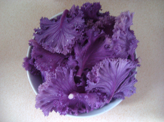 蒜茸羽衣甘藍的做法步驟：1