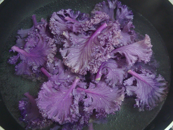 蒜茸羽衣甘藍的做法步驟：3