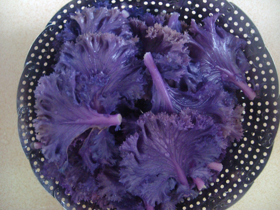 蒜茸羽衣甘藍的做法步驟：4