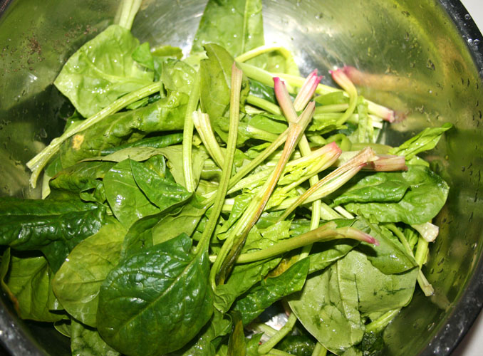 【貪嘴鹦之菠菜大變身，減肥新菜肴】松子菠菜盅的做法步驟：1
