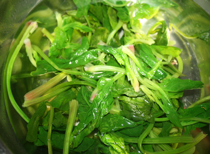 【貪嘴鹦之菠菜大變身，減肥新菜肴】松子菠菜盅的做法步驟：3