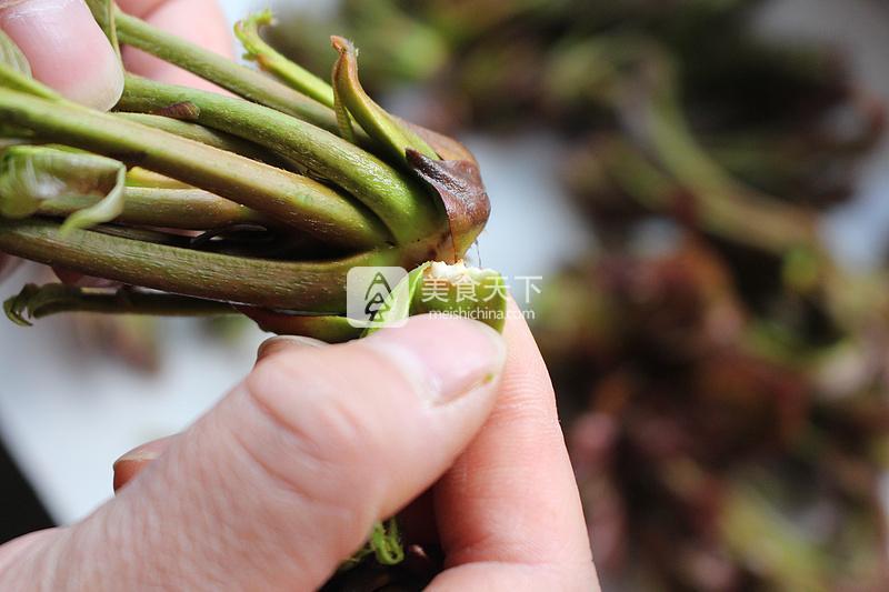 春天的禮物——香椿拌豆腐的做法步驟：2