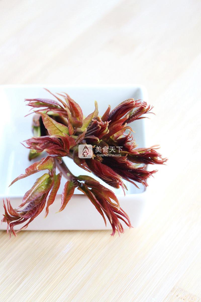 春天的禮物——香椿拌豆腐的做法步驟：14