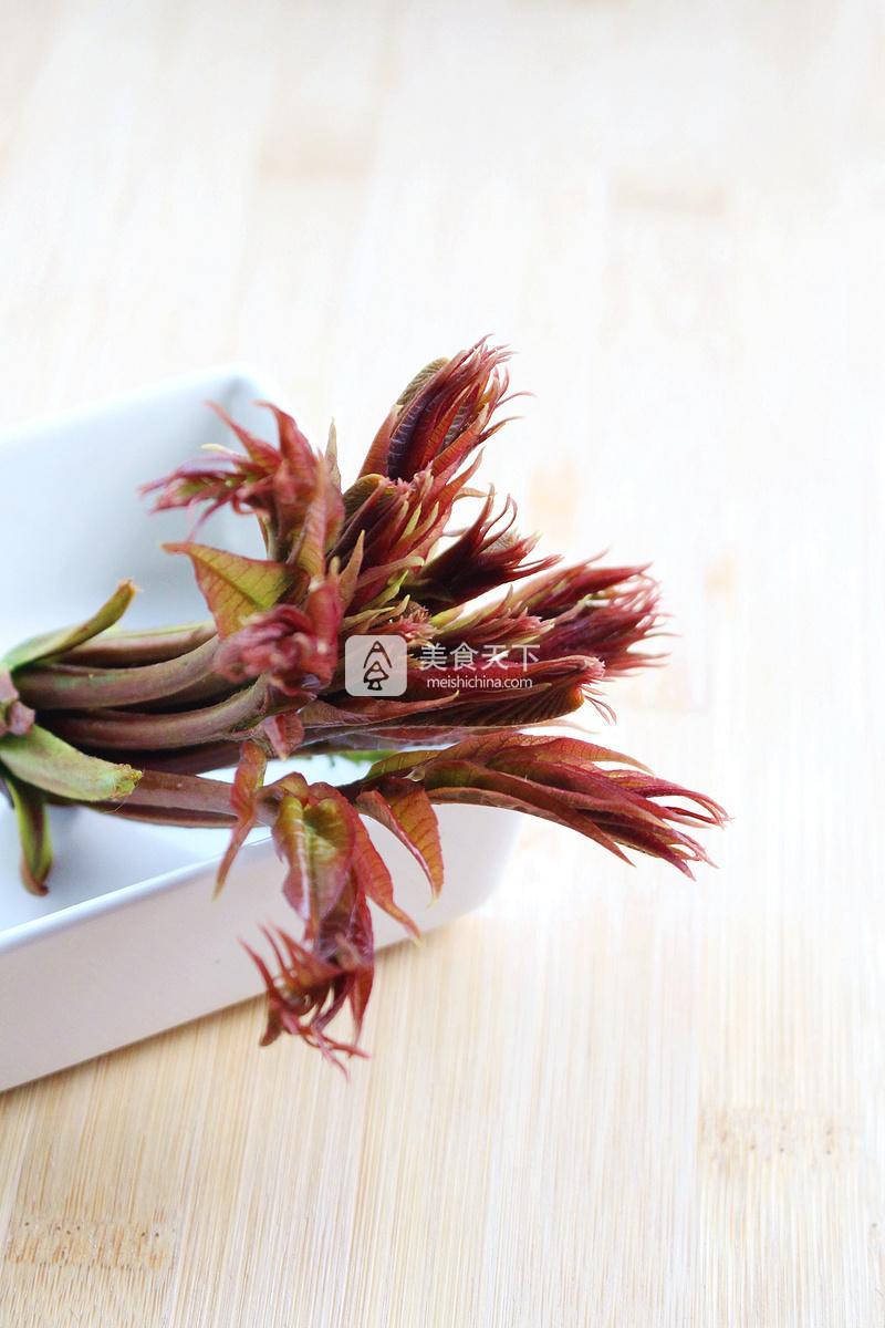 春天的禮物——香椿拌豆腐的做法步驟：15