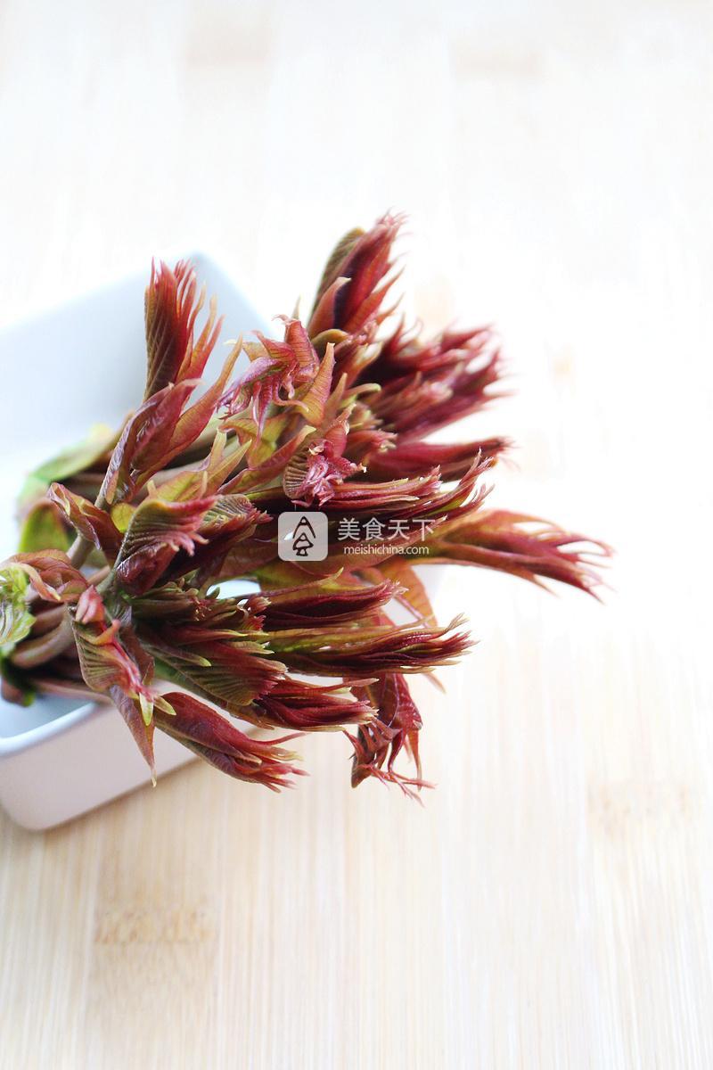 春天的禮物——香椿拌豆腐的做法步驟：16