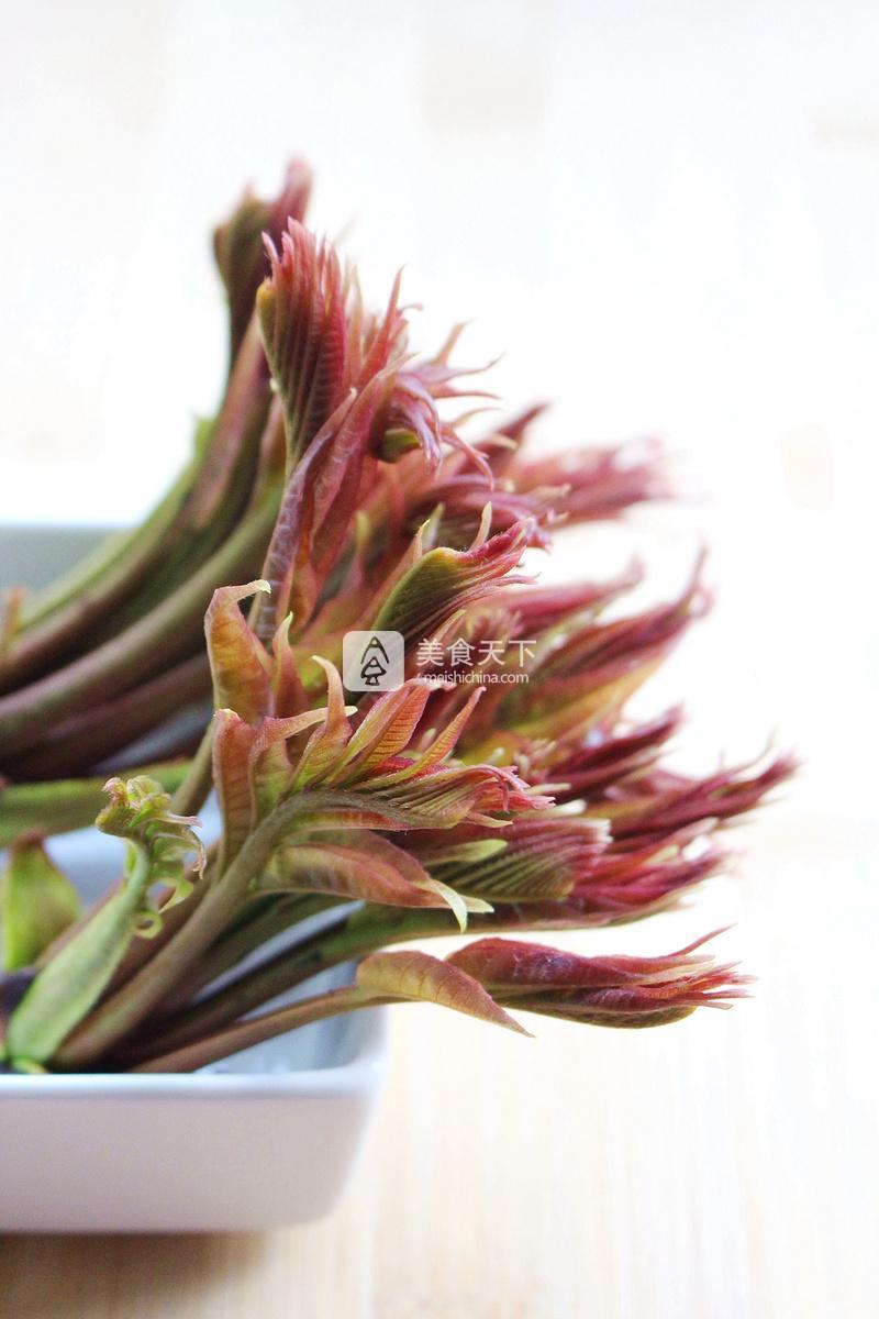 春天的禮物——香椿拌豆腐的做法步驟：18