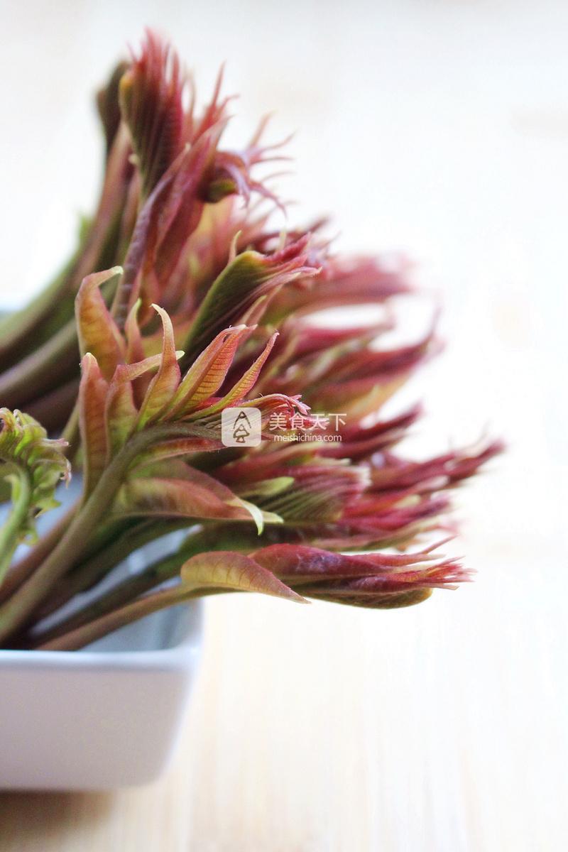 春天的禮物——香椿拌豆腐的做法步驟：19