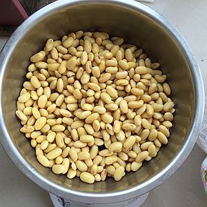 自制鹽鹵豆腐的做法步驟：1