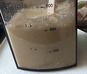 自制鹽鹵豆腐的做法步驟：6