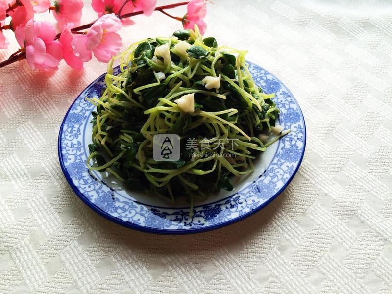 蒜香黑豆苗的做法步驟：9