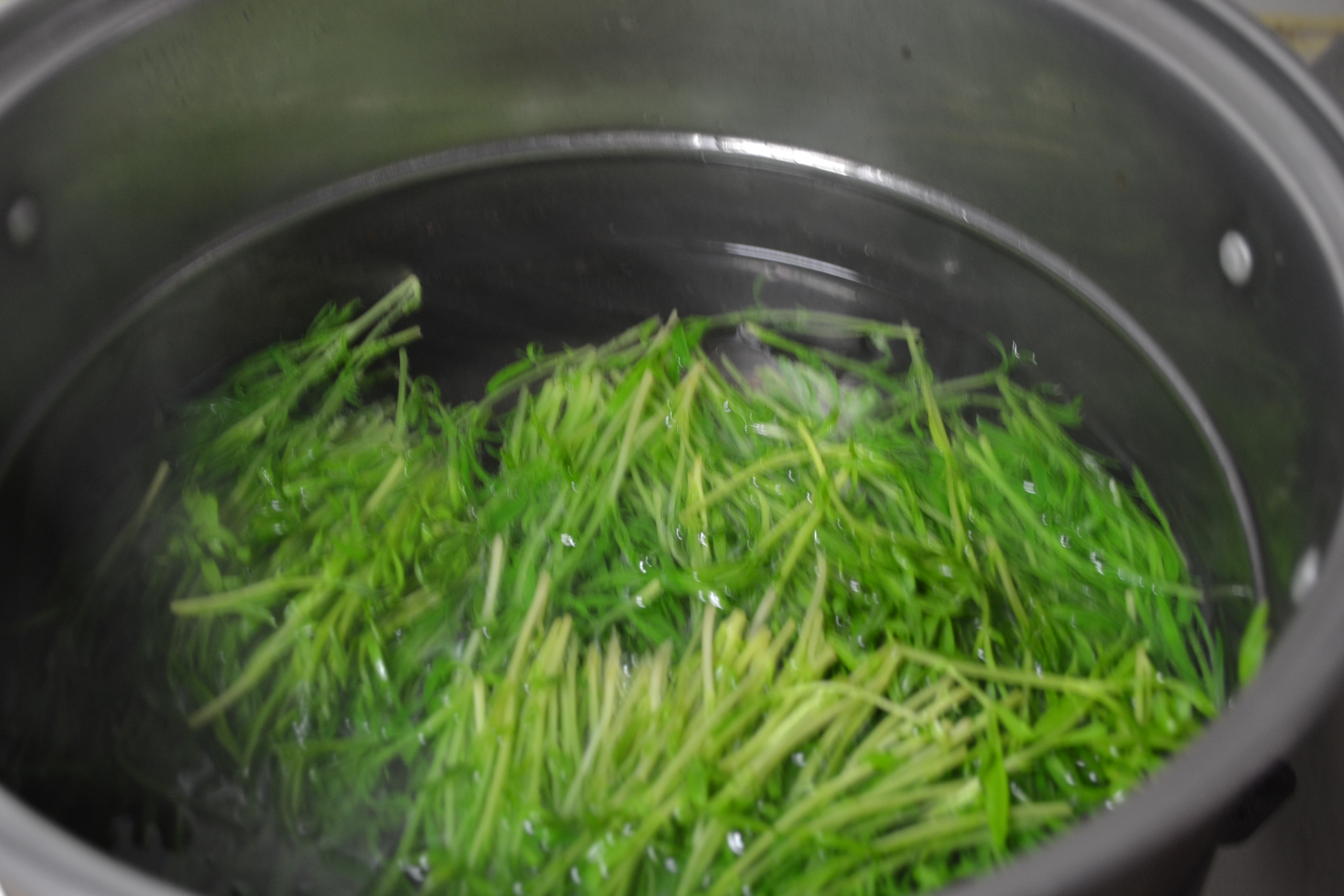 芝麻鹽拌豆苗的做法步驟：8