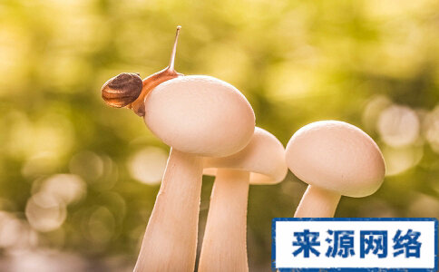 吃的越多越苗條的食物 哪些食物吃的越多越苗條 吃了不會胖的食物有哪些 哪些食物吃了不會發胖