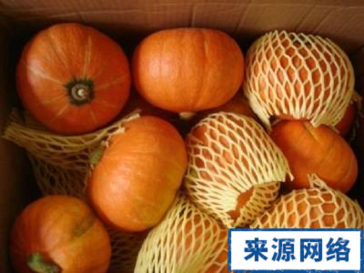 秋季減肥 減肥 減肥方法 快速減肥 減肥瘦身 南瓜的營養價值