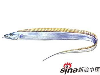 飲食小百科——補虛澤膚吃帶魚