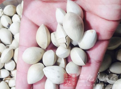 白果入菜,特別是煲湯、煮面 白果入菜,特別是煲湯、煮面