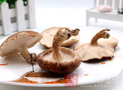 香菇為動風食物，頑固性皮膚瘙癢症患者應忌食