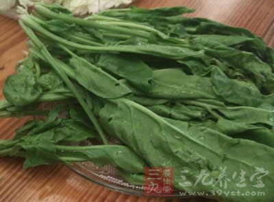 菠菜、茶葉等含草酸較多的食物 菠菜、茶葉等含草酸較多的食物