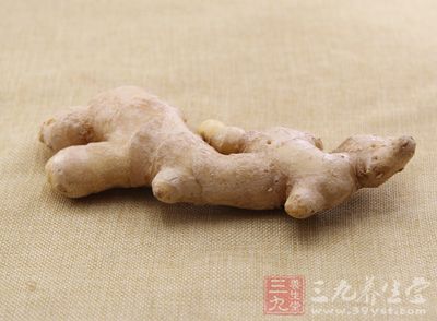 生姜切細末 生姜切細末
