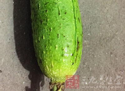 或許會有很多人會不喜歡絲瓜的那種清洌的味道